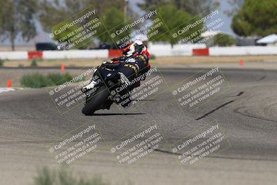 media/Sep-07-2025-Pacific Track Time (Sun) [[a6322260b9]]/A and B Group/Wheelie Bump A and B/